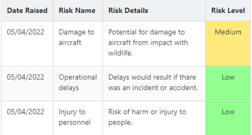 Risk Matrix